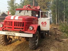 Из садоводства рядом с горящим лесом под Первоуральском эвакуировали 83 человека