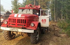 Из садоводства рядом с горящим лесом под Первоуральском эвакуировали 83 человека