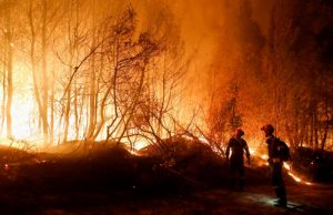 Пожары в Греции и Македонии: МИД обратился к украинским туристам