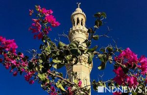 СКР проверит сообщения о строительстве поселка для мусульман под Москвой