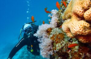 Снаряжение для дайвинга: основное оборудование