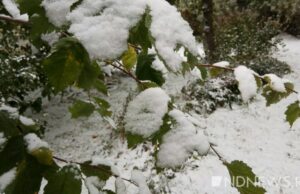 В Курганскую область идут заморозки с мокрым снегом