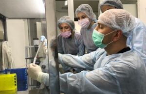 Стволовые клетки в лечении: с какими недугами помогут справиться?