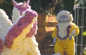 В экопарке под Харьковом стартовал красочный «бал» хризантем (видео)