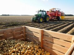 Какую госпомощь дадут за картошку?