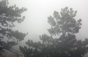 На Москву снова опускается густой туман