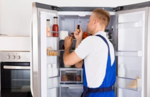 Неисправности холодильников: причины поломок