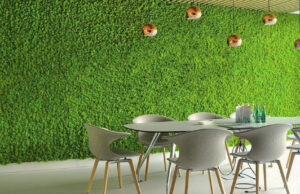 Живая стена из мха: что из себя представляет и как работает?