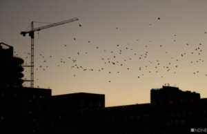 «Где плохо – там станет значительно хуже»: эксперт назвал главные риски для России в 2022 году