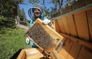 «Мандруй Україною з Дмитром Комаровим» в Карпатах: мертвые пчелы на завтрак и ситро из детства (фото, видео)