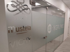 Стеклянные перегородки: область использования