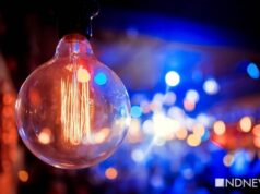 В Ватикане торжественно зажгли огни на рождественской ели