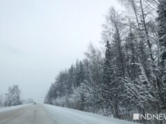 МЧС объявило штормовое предупреждение в Свердловской области