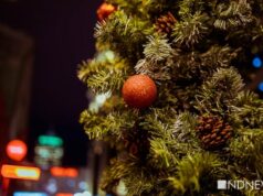 В Новый год пользователи соцсети подарили друг другу 18,5 млн тигров и бросили 200 млн снежков