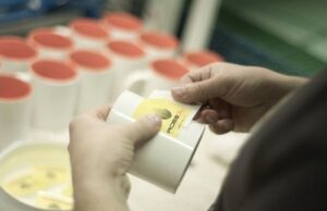 Деколирование: технология нанесения деколи