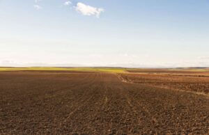 Прощупывая почву. Почему бы не раздать людям 25 млн га простаивающих земель