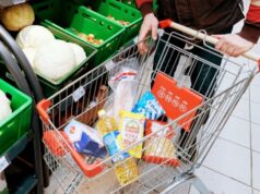 Ощущение неминуемой еды. Приживется ли фудшеринг в России?