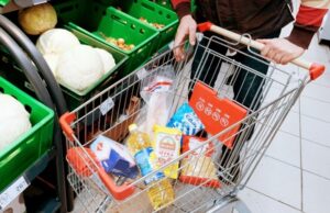 Ощущение неминуемой еды. Приживется ли фудшеринг в России?