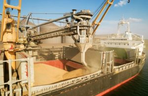 Подайте Эрдогана ради. Эксперты назвали причину продлить зерновую сделку