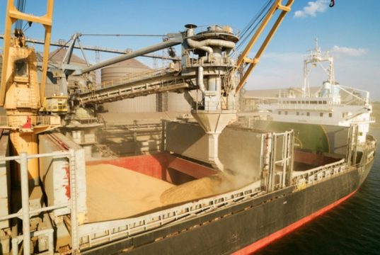 Подайте Эрдогана ради. Эксперты назвали причину продлить зерновую сделку