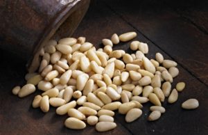 Орехи в загоне. Продажа кедровых орехов заготовителям потеряла смысл