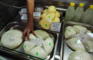 Десять лет эмбарго. Эксперт раскрыл влияние запрета на ввоз продуктов в РФ