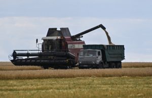 Первый и второй хлеб. Эксперты рассказали, какой урожай ждут аграрии