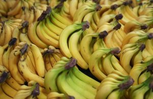 Бананы по 300 рублей. Как кризис в Эквадоре может отразиться на ценах в РФ