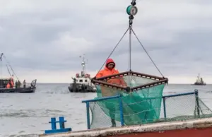 С крабами разобрались. Активы рыбных компаний переданы государству
