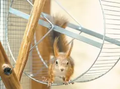 Вам время или деньги? Заработок или свободные часы — что приносить в жертву