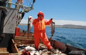 Записки о Курилах. Сколько можно заработать, если отправиться на край земли