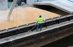 Турция заменима. Эксперт назвал страны, заинтересованные в зерне из России