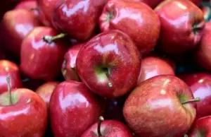 Цены — в яблочко. Производители считают сырье запредельно дорогим