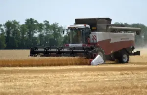 Первый звоночек. Армения может закупать китайский рис вместо пшеницы из РФ