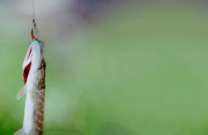 Крючки с Большим Ушком для Рыбалки