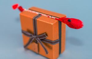 Как выбрать оригинальный подарок: идеи для тех, кто хочет удивить и порадовать