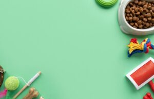 Зоомагазин с широким ассортиментом товаров: на что обратить внимание