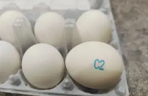 Социально важные. Стало известно, как изменятся цены на масло и яйца