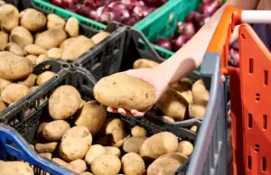 Второй хлеб. Эксперт Шаркова раскрыла, когда подешевеет картофель