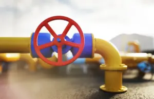 Лицемерие или прагматизм? Париж нарастил закупки российского газа