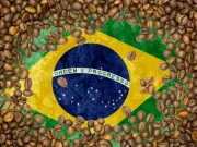 Поставки сокращаются. Что мы будем пить вместо бразильской арабики?