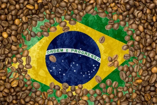 Поставки сокращаются. Что мы будем пить вместо бразильской арабики?