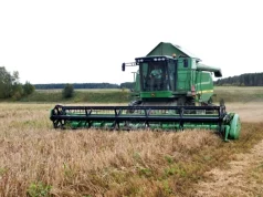 В России создадут единую цифровую платформу в сфере АПК с применением ИИ