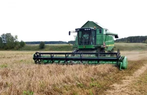 В России создадут единую цифровую платформу в сфере АПК с применением ИИ